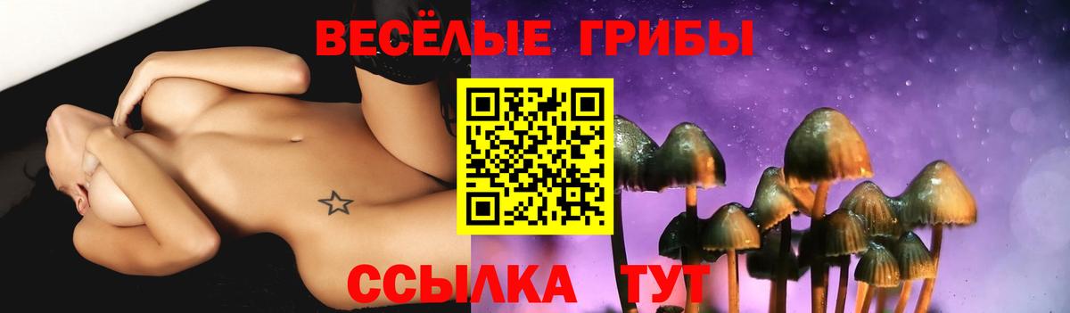 Галлюциногенные грибы Psilocybe  Вход с VPN  Галлюциногенные грибы Psilocybine cubensis  Гай 